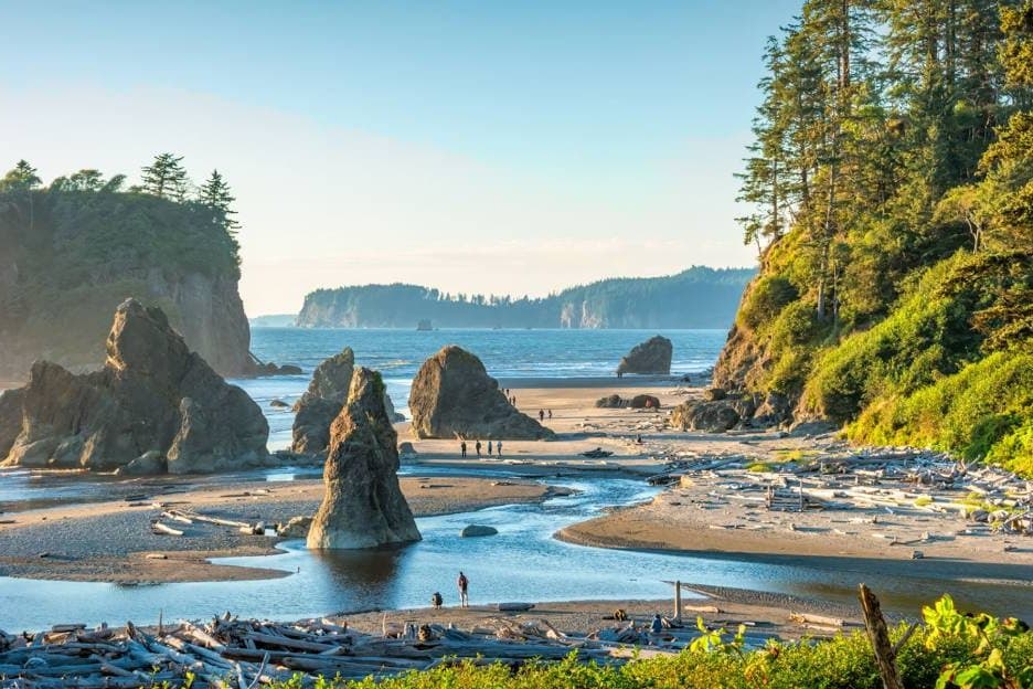 Sea stacks and a quiet beach on the Olympic coast in Olympic National Park