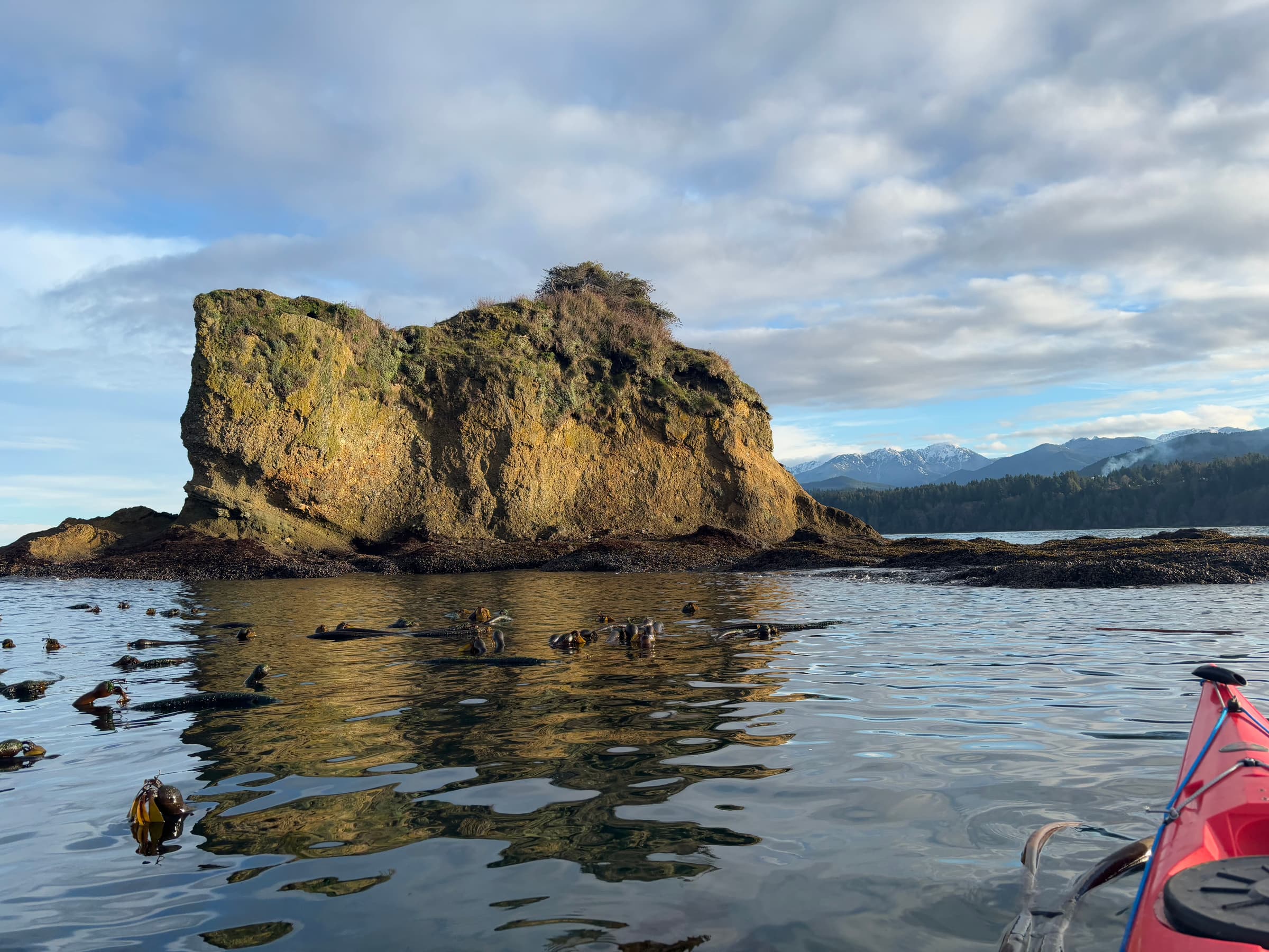 Coastal kayak tour on the Olympic Peninsula with Elevate Outdoors