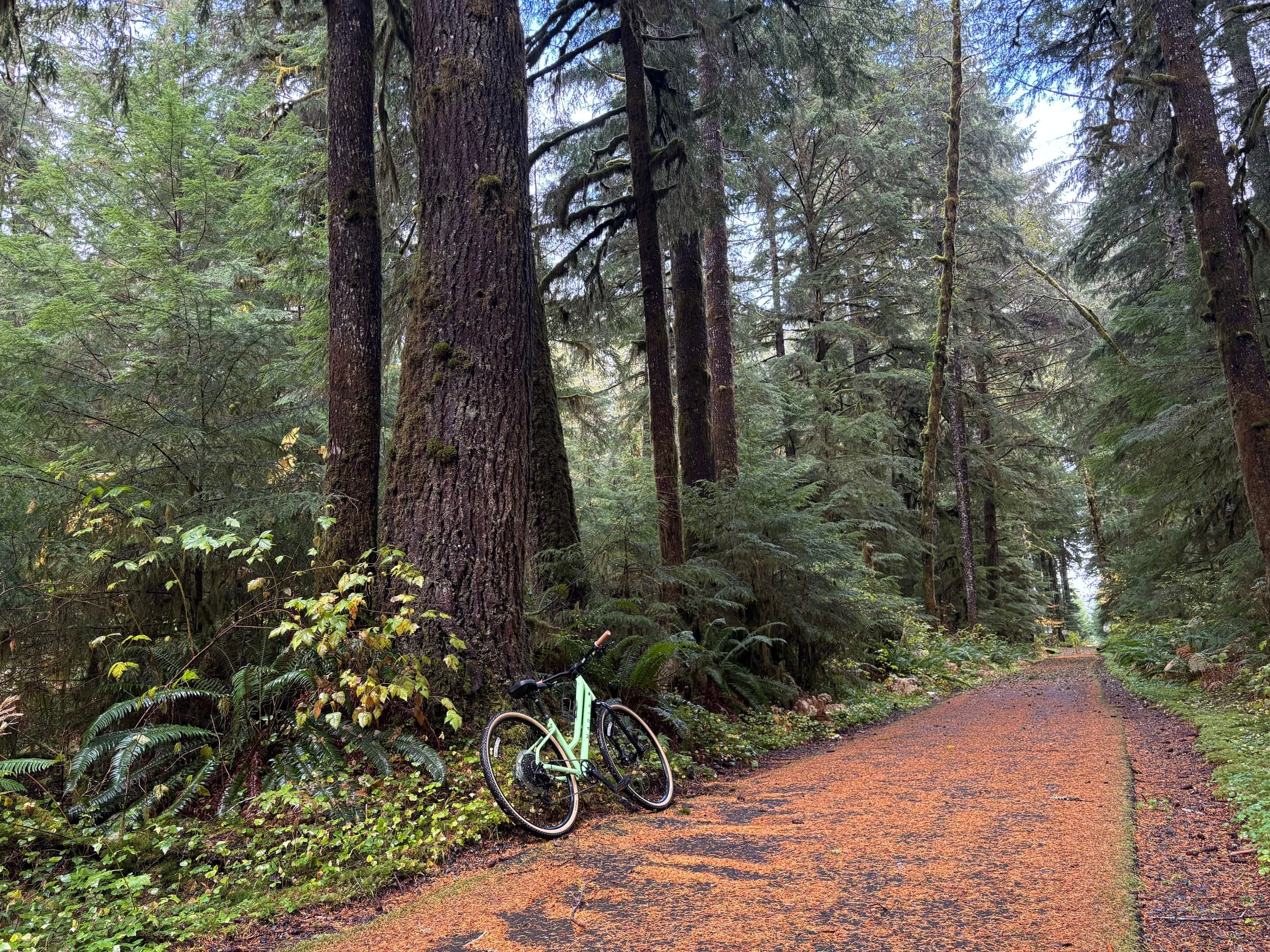 Olympic Discovery Trail near Port Angeles